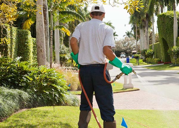 About Mystic CT Pest Control Pros